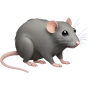 Rat sticker