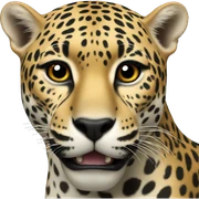 jaguar sticker