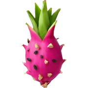Pitaya sticker