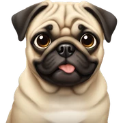 Pug sticker