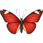 Red butterfly  sticker