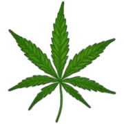 marijuana sticker