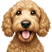 Goldendoodle  sticker