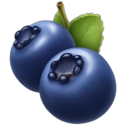 Blueberry sticker