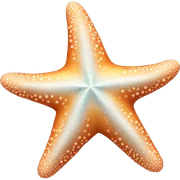 Starfish sticker