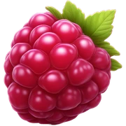 Raspberry  sticker
