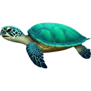Sea turtle sticker