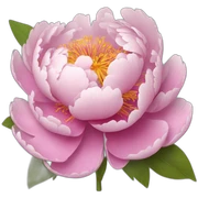 Peony sticker