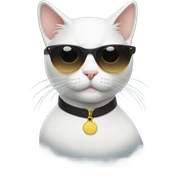 Cat with sunglasses sticker