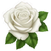 White roses sticker