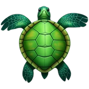 sea turtle sticker