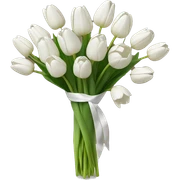 white tulip bouquet  sticker