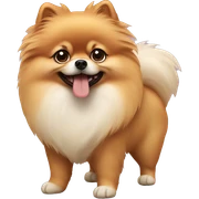 Pomeranian sticker