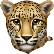 Leopardo  sticker