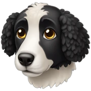 black sheep dog with kind eyes, long snout sticker