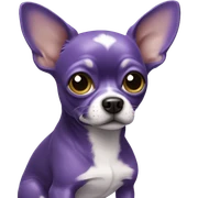 purple chihuahua  sticker