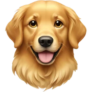 Golden retriever  sticker