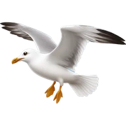 Seagull flying sticker