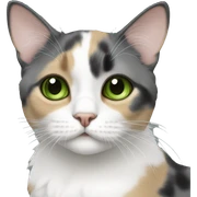 Dilute calico with green eyes laying sticker