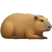 Capybara  sticker