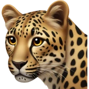 leopard heart sticker