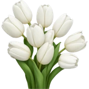 White tulip bouquet  sticker