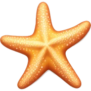 Starfish sticker