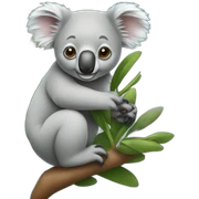 koala sticker