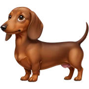 perro salchicha  sticker