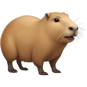 Capibara sticker