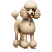 Poodle sticker