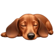 Cute Lady brown Dachshund sleeping sticker