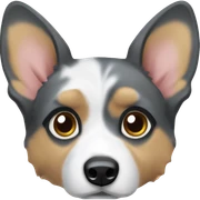 Blue Merle welsh corgi sticker