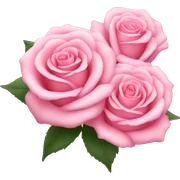 baby pink roses sticker
