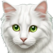 Fluffy cat turkish van green eyes sticker