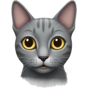 A grey cat  sticker