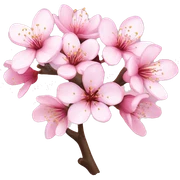 Cherry Blossom sticker