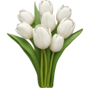 white tulip bouquet  sticker
