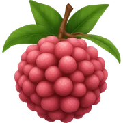 Lychee sticker