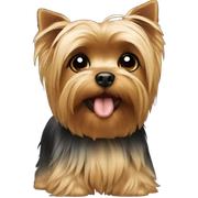 Yorkie sticker