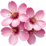 Cherry blossom sticker