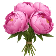 Bouquet of pink peonies sticker