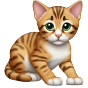 Bengal kitten sticker