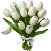 white tulip bouquet  sticker