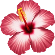 hibiscus  sticker