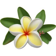 Frangipani ￼ sticker