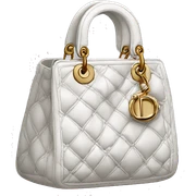dior bag sticker