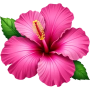 hibiscus  sticker