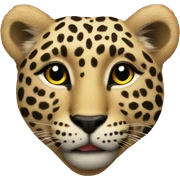 leopard heart sticker