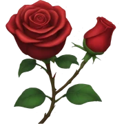 Evil rose sticker